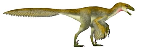  Dromaeosaurus: Có Một Kẻ Săn Mồi Nhanh Nhẹn Khác Biệt Sống Trong Kỷ Phấn trắng !